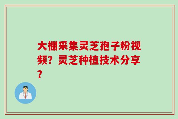 大棚采集灵芝孢子粉视频？灵芝种植技术分享？