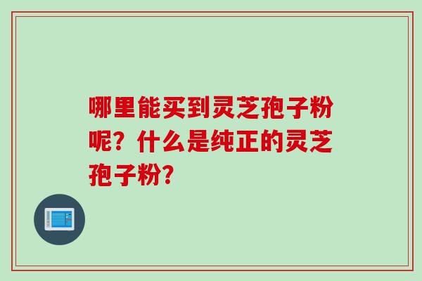 哪里能买到灵芝孢子粉呢？什么是纯正的灵芝孢子粉？