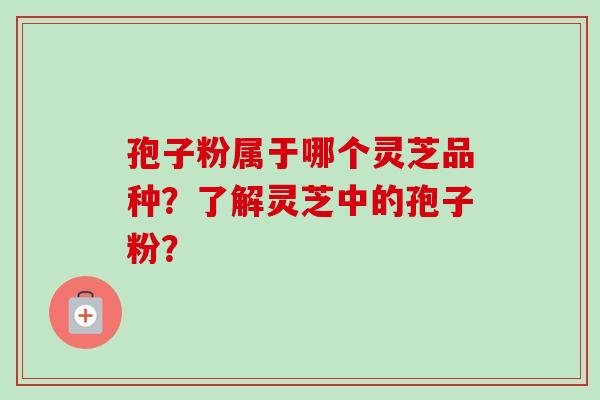 孢子粉属于哪个灵芝品种？了解灵芝中的孢子粉？