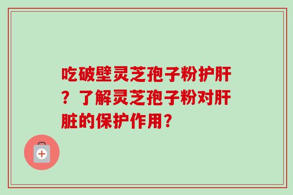 吃破壁灵芝孢子粉？了解灵芝孢子粉对的保护作用？