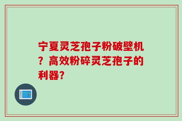 宁夏灵芝孢子粉破壁机？高效粉碎灵芝孢子的利器？