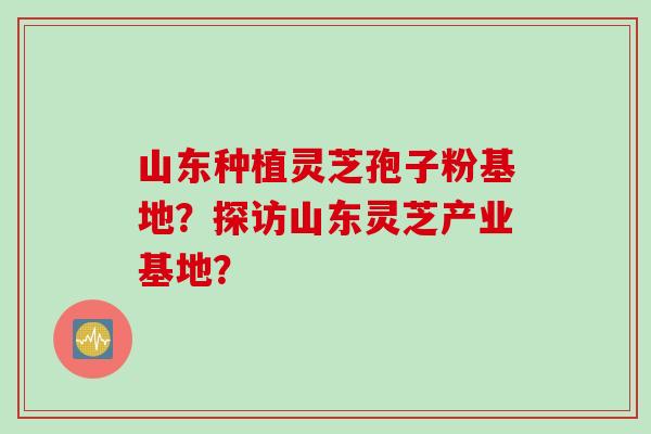 山东种植灵芝孢子粉基地？探访山东灵芝产业基地？