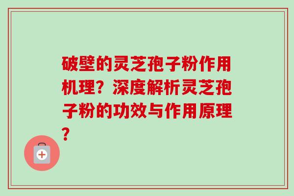 破壁的灵芝孢子粉作用机理？深度解析灵芝孢子粉的功效与作用原理？