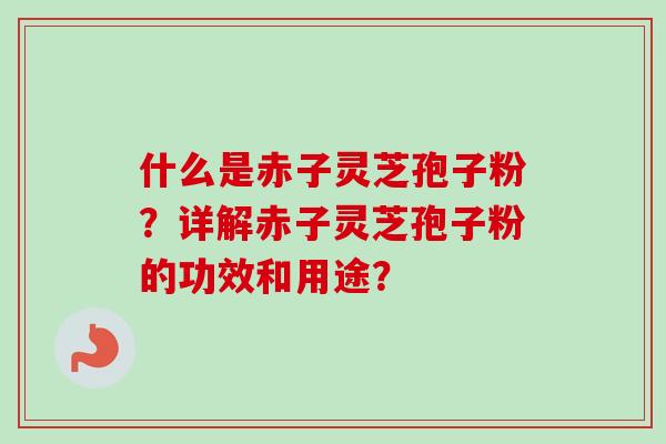 什么是赤子灵芝孢子粉？详解赤子灵芝孢子粉的功效和用途？