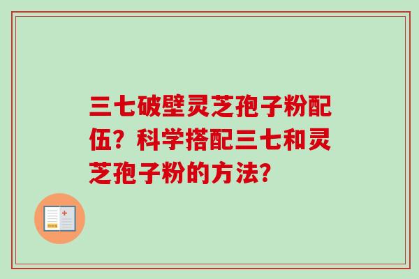 三七破壁灵芝孢子粉配伍？科学搭配三七和灵芝孢子粉的方法？