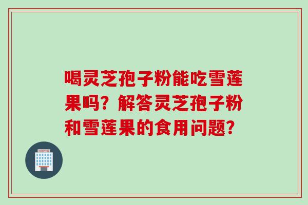 喝灵芝孢子粉能吃雪莲果吗？解答灵芝孢子粉和雪莲果的食用问题？