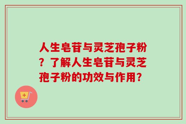 人生皂苷与灵芝孢子粉？了解人生皂苷与灵芝孢子粉的功效与作用？
