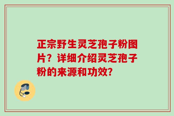 正宗野生灵芝孢子粉图片？详细介绍灵芝孢子粉的来源和功效？