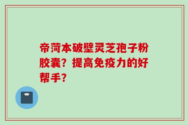 帝菏本破壁灵芝孢子粉胶囊？提高免疫力的好帮手？