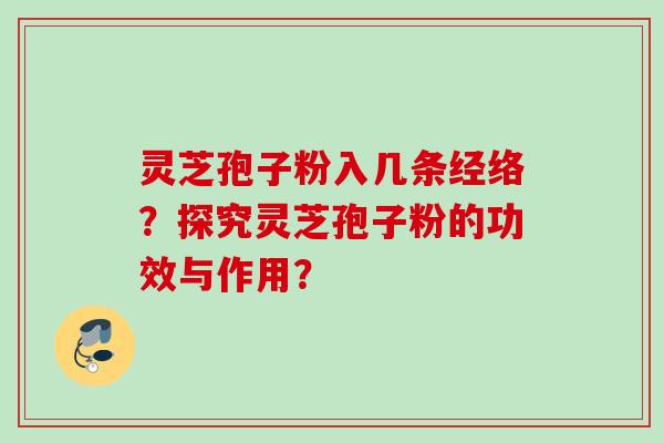 灵芝孢子粉入几条经络？探究灵芝孢子粉的功效与作用？