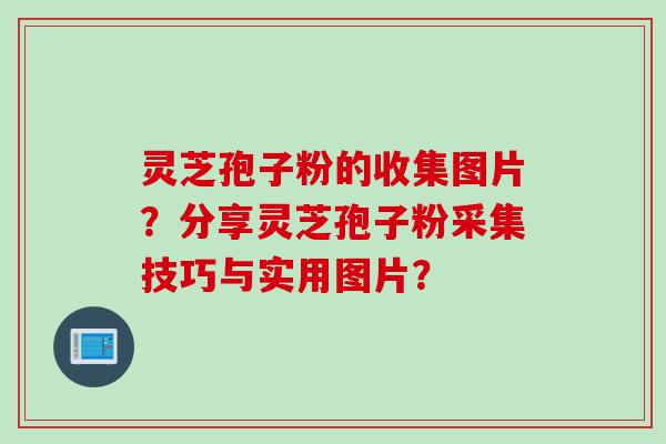 灵芝孢子粉的收集图片？分享灵芝孢子粉采集技巧与实用图片？