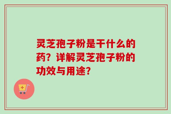 灵芝孢子粉是干什么的药？详解灵芝孢子粉的功效与用途？