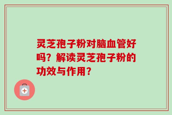 灵芝孢子粉对脑血管好吗？解读灵芝孢子粉的功效与作用？