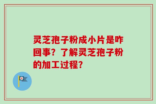 灵芝孢子粉成小片是咋回事？了解灵芝孢子粉的加工过程？