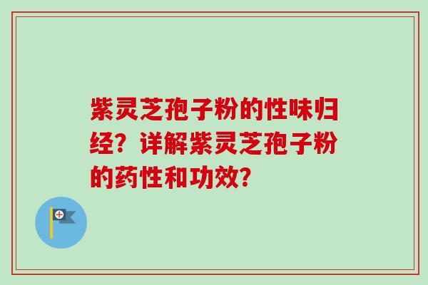 紫灵芝孢子粉的性味归经？详解紫灵芝孢子粉的和功效？