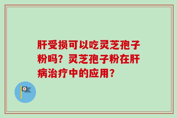 受损可以吃灵芝孢子粉吗？灵芝孢子粉在中的应用？