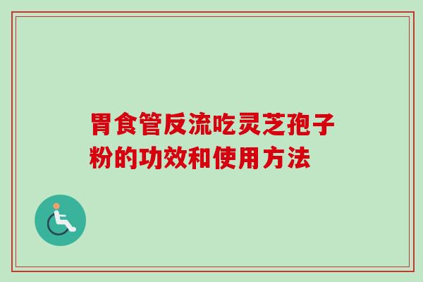 胃食管反流吃灵芝孢子粉的功效和使用方法
