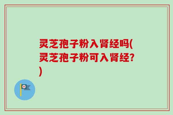 灵芝孢子粉入肾经吗(灵芝孢子粉可入肾经？)