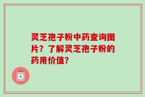 灵芝孢子粉查询图片？了解灵芝孢子粉的药用价值？