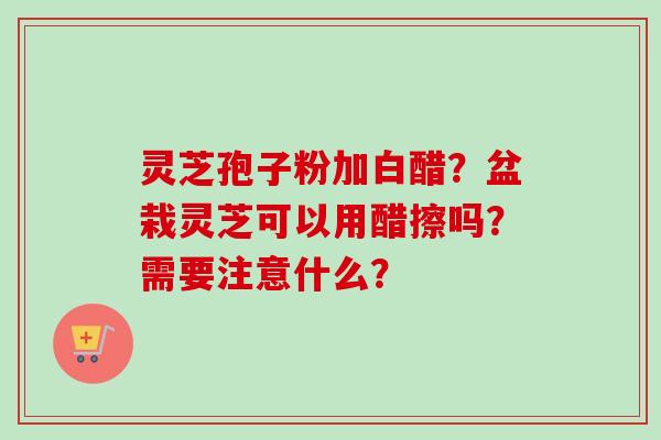 灵芝孢子粉加白醋？盆栽灵芝可以用醋擦吗？需要注意什么？