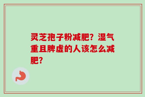灵芝孢子粉？湿气重且脾虚的人该怎么？