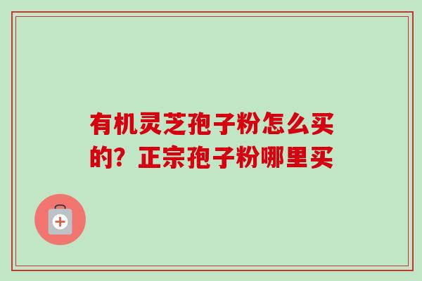 有机灵芝孢子粉怎么买的？正宗孢子粉哪里买