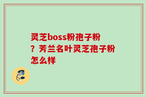 灵芝boss粉孢子粉？芳兰名叶灵芝孢子粉怎么样
