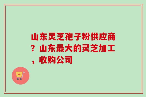 山东灵芝孢子粉供应商？山东大的灵芝加工，收购公司