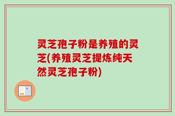 灵芝孢子粉是养殖的灵芝(养殖灵芝提炼纯天然灵芝孢子粉)