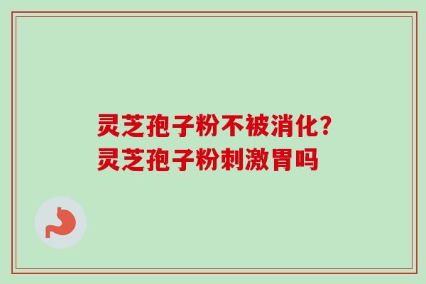 灵芝孢子粉不被消化？灵芝孢子粉刺激胃吗