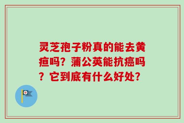 灵芝孢子粉真的能去黄疸吗？蒲公英能抗癌吗？它到底有什么好处？