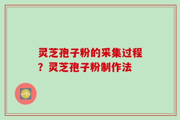 灵芝孢子粉的采集过程？灵芝孢子粉制作法