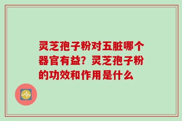 灵芝孢子粉对五脏哪个器官有益？灵芝孢子粉的功效和作用是什么