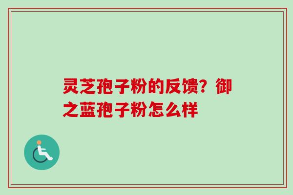 灵芝孢子粉的反馈？御之蓝孢子粉怎么样