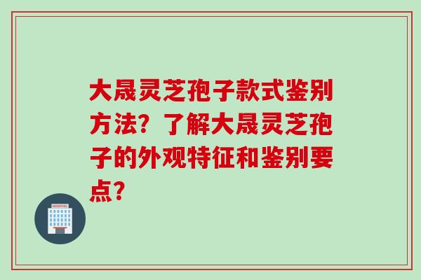 大晟灵芝孢子款式鉴别方法？了解大晟灵芝孢子的外观特征和鉴别要点？