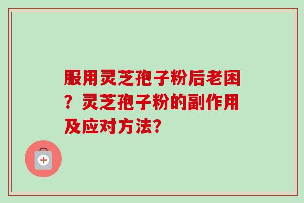 服用灵芝孢子粉后老困?灵芝孢子粉的副作用及应对方法?