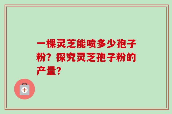 一棵灵芝能喷多少孢子粉？探究灵芝孢子粉的产量？