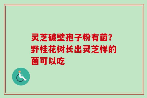 灵芝破壁孢子粉有菌？野桂花树长出灵芝样的菌可以吃