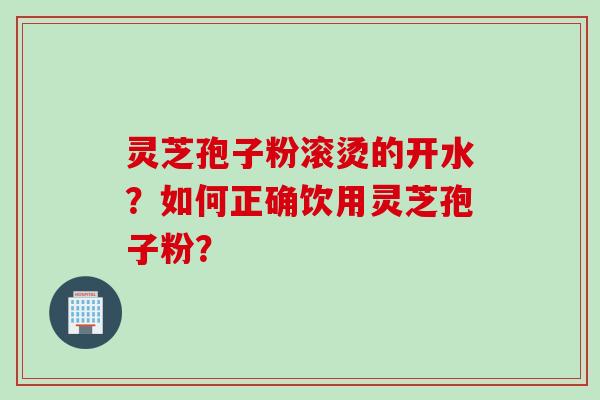 灵芝孢子粉滚烫的开水？如何正确饮用灵芝孢子粉？