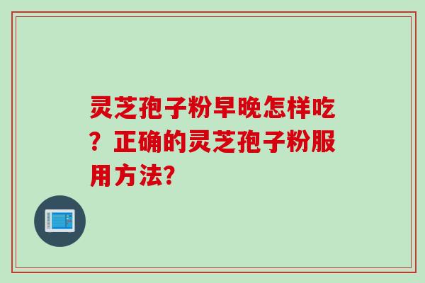 灵芝孢子粉早晚怎样吃？正确的灵芝孢子粉服用方法？