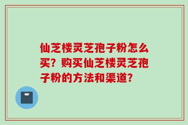 仙芝楼灵芝孢子粉怎么买？购买仙芝楼灵芝孢子粉的方法和渠道？