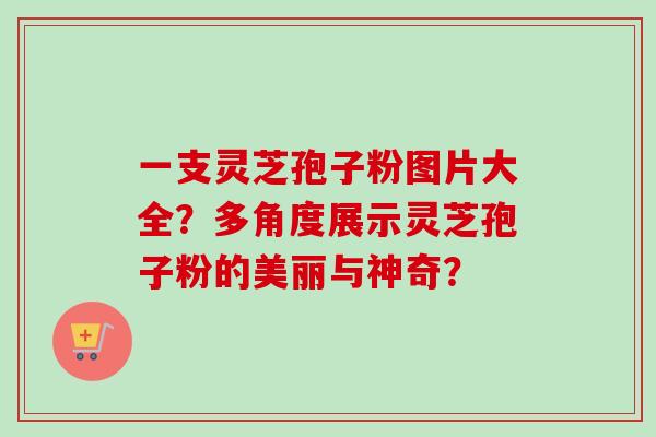 一支灵芝孢子粉图片大全？多角度展示灵芝孢子粉的美丽与神奇？