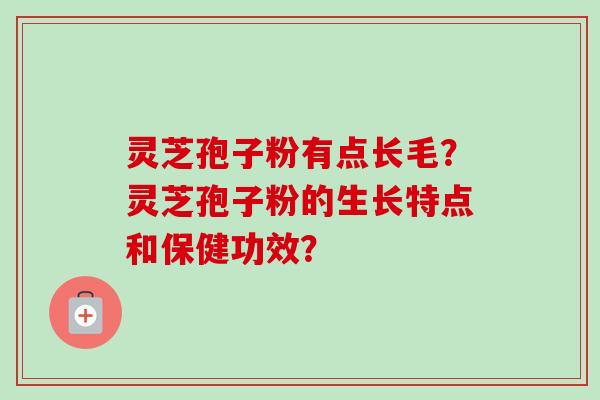 灵芝孢子粉有点长毛？灵芝孢子粉的生长特点和保健功效？
