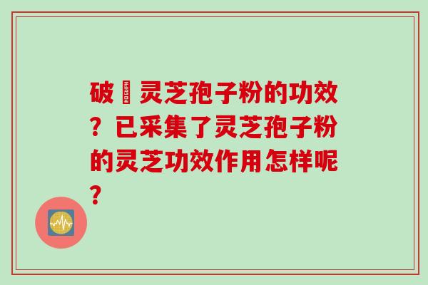 破礕灵芝孢子粉的功效?已采集了灵芝孢子粉的灵芝功效作用怎样呢?