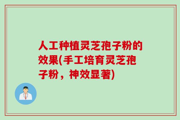 人工种植灵芝孢子粉的效果(手工培育灵芝孢子粉，神效显著)