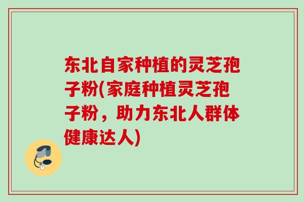 东北自家种植的灵芝孢子粉(家庭种植灵芝孢子粉，助力东北人群体健康达人)