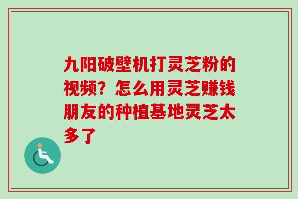 九阳破壁机打灵芝粉的视频？怎么用灵芝赚钱朋友的种植基地灵芝太多了