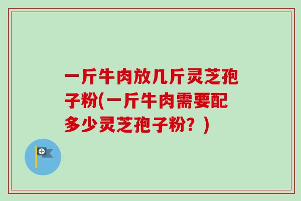 一斤牛肉放几斤灵芝孢子粉(一斤牛肉需要配多少灵芝孢子粉？)