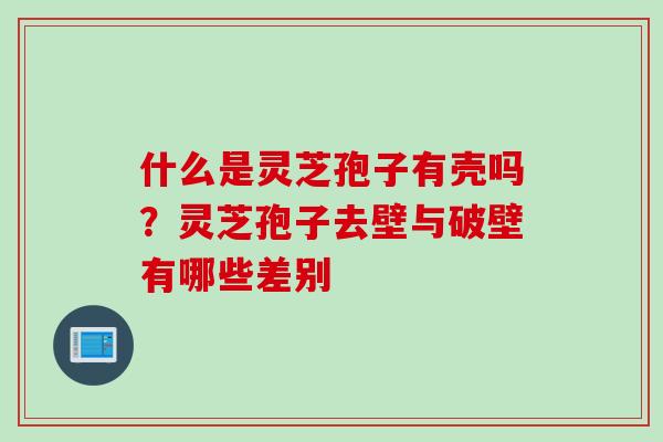 什么是灵芝孢子有壳吗？灵芝孢子去壁与破壁有哪些差别