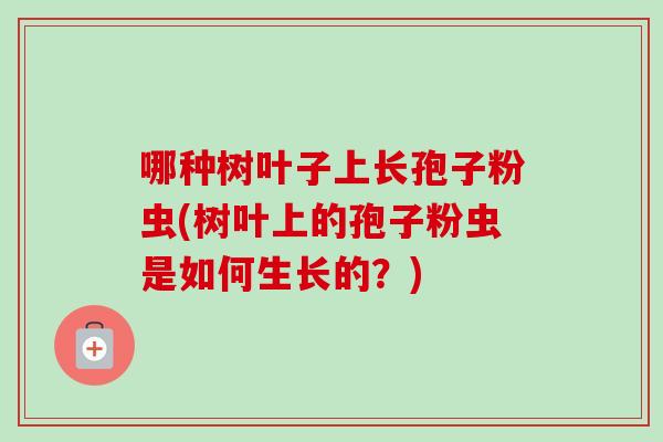 哪种树叶子上长孢子粉虫(树叶上的孢子粉虫是如何生长的？)